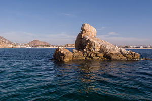 diving cabo