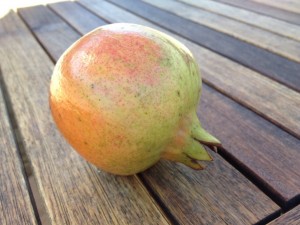 Eversweet Pomegranate fruit
