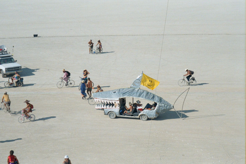 Shark Car