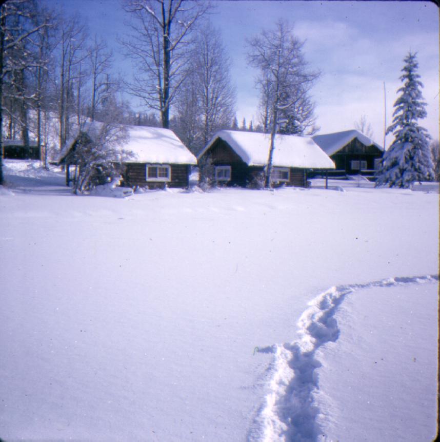 cabins_winter