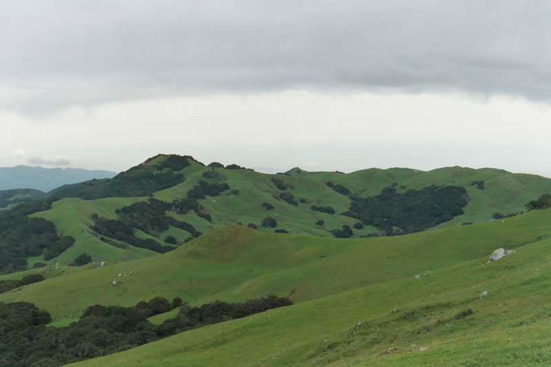 The green hills of SLO