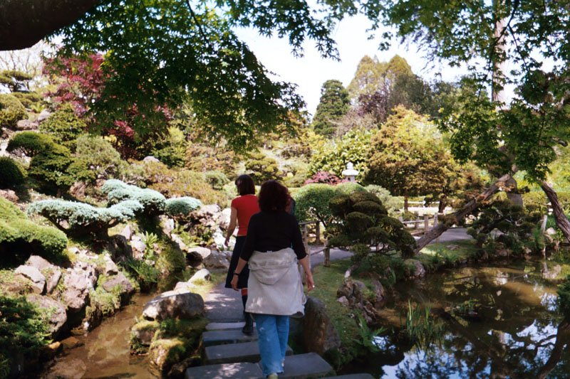 apanese tea garden