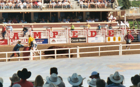 Rodeo clowns getting the bull to hit the (clown filled) barrel