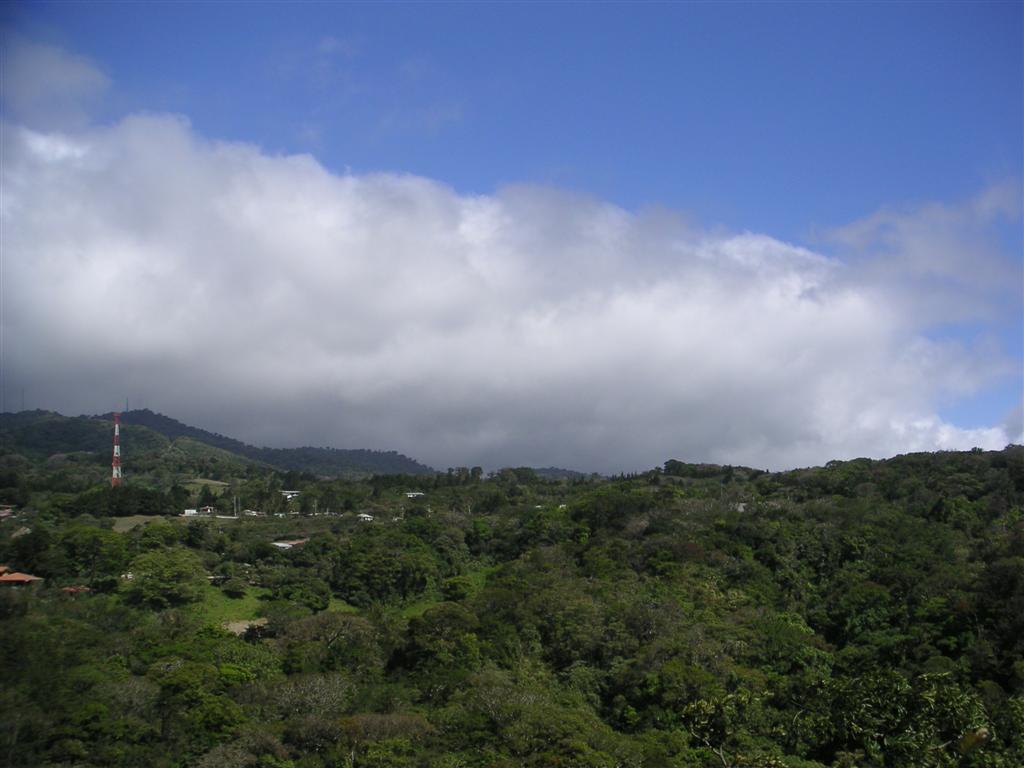 Clouds blowing through the forrest