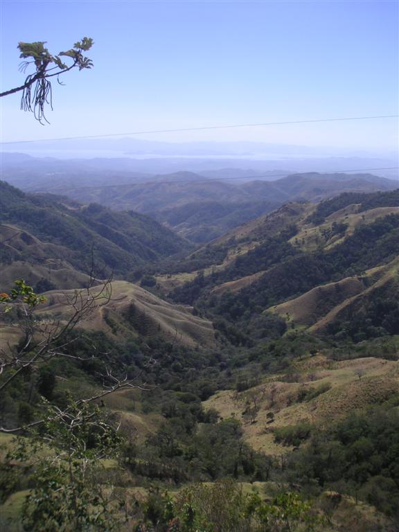 View from Monteverde