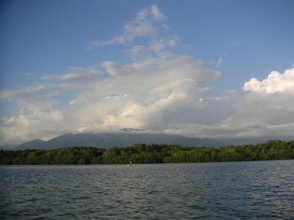 A view of the cloud forrest from the ocean