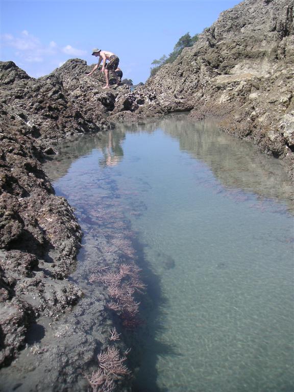 Paul scrambling around a tide pool