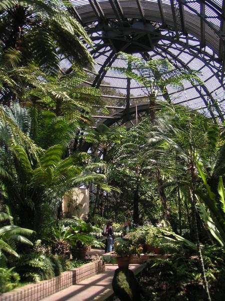 Inside the Balboa Botanical Building