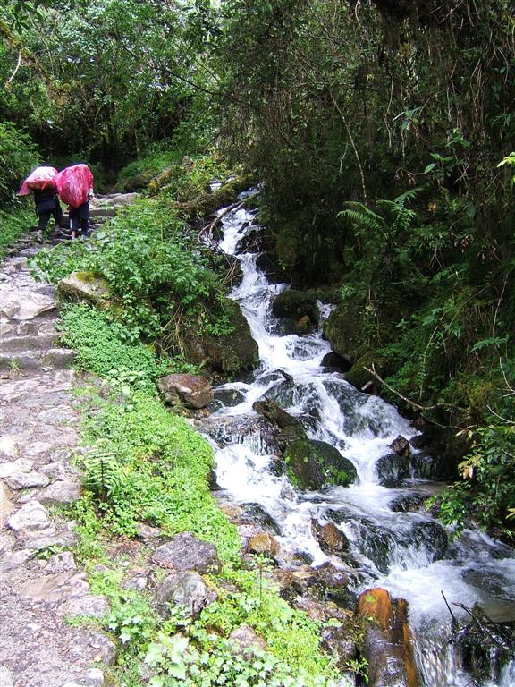 Trail-side stream