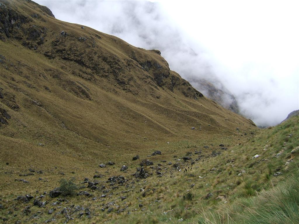 Above the tree line