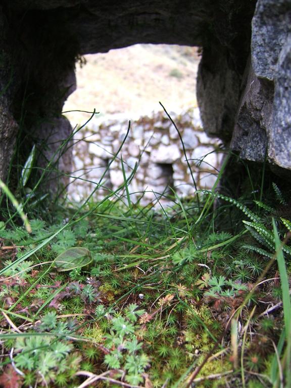 Inka ruins window