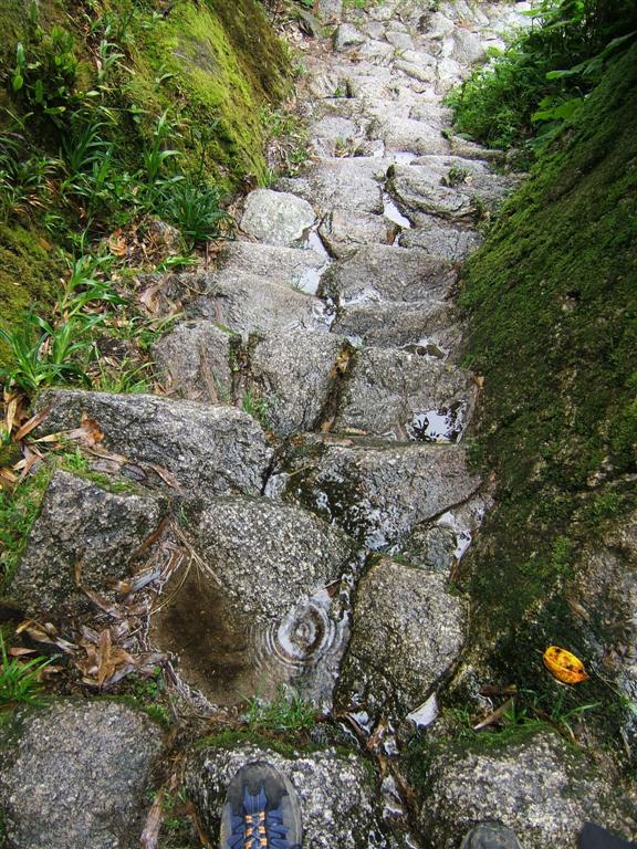 Steep and wet steps