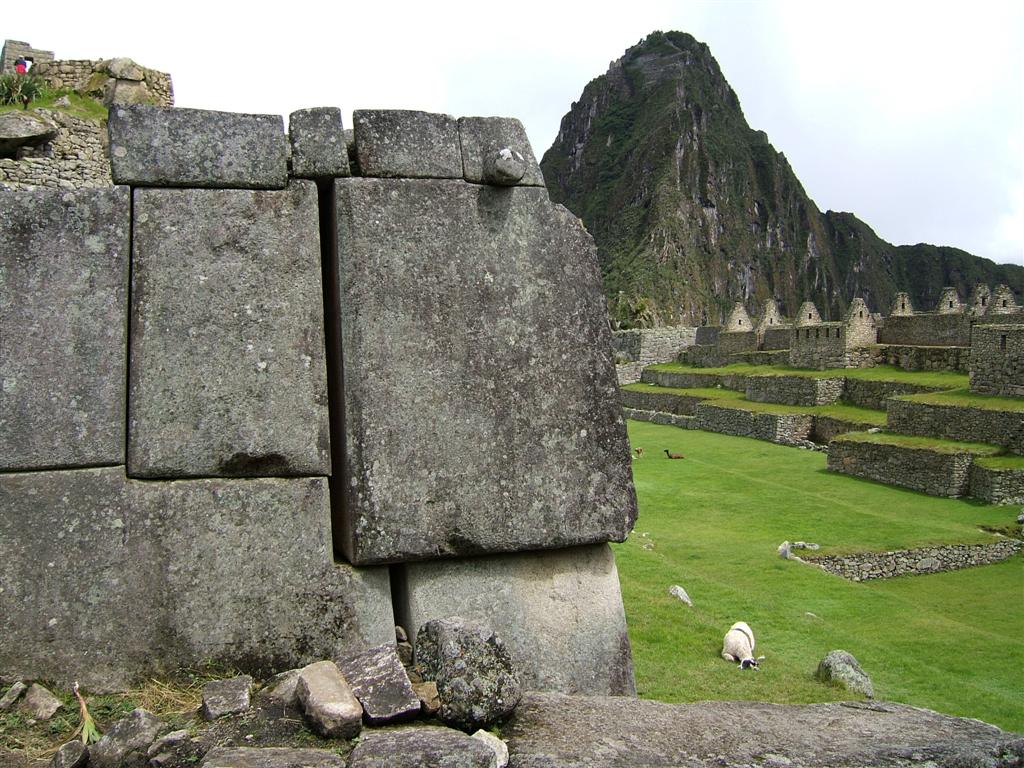 Stonework and llamas grazing