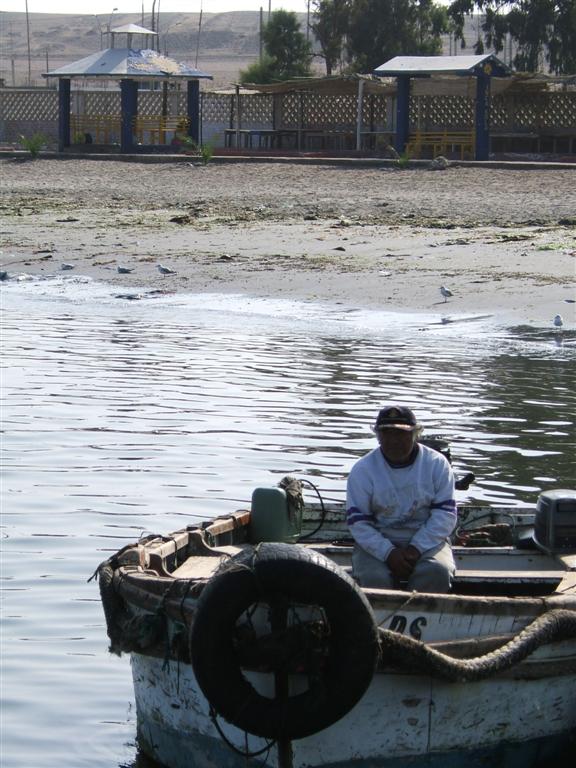 Pisco fisherman