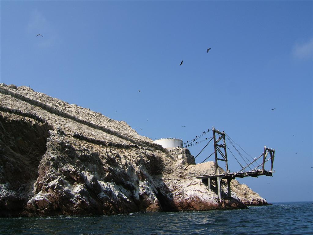 Guano harvest ramp