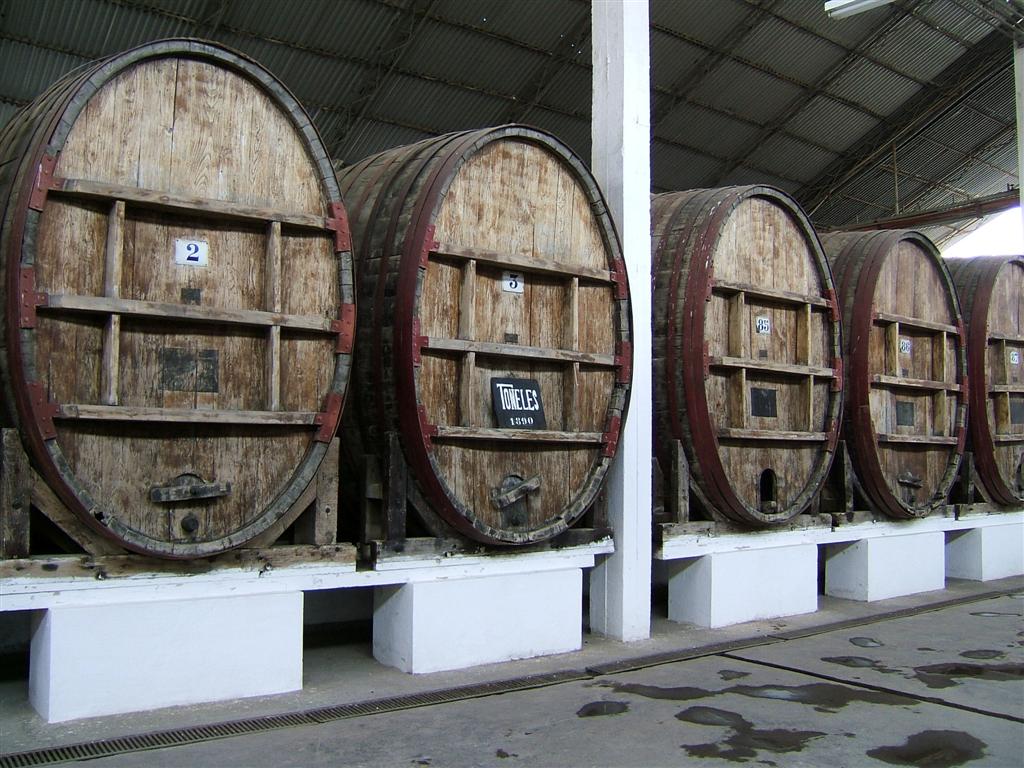 Old winery barrels