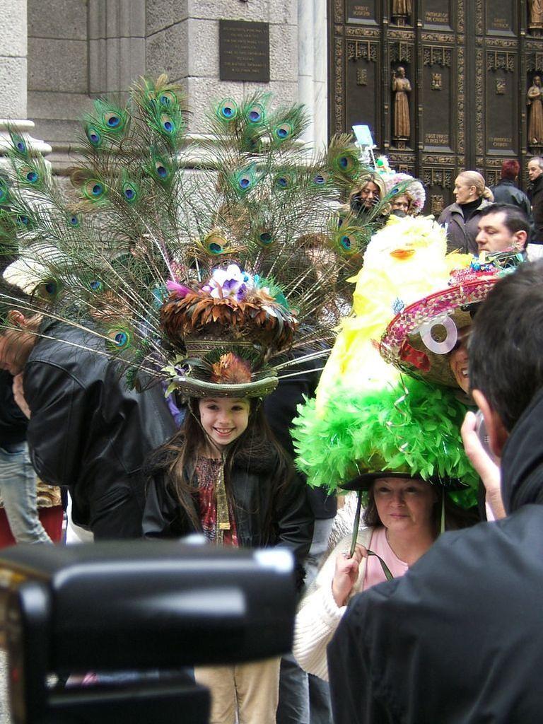 Peacock plumes