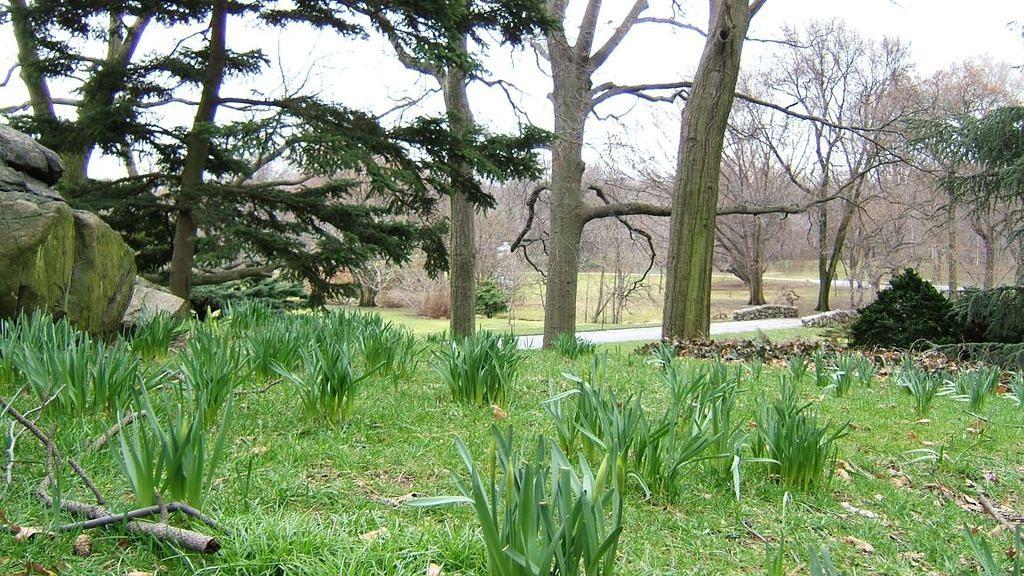 Brooklyn Botanical Gardens