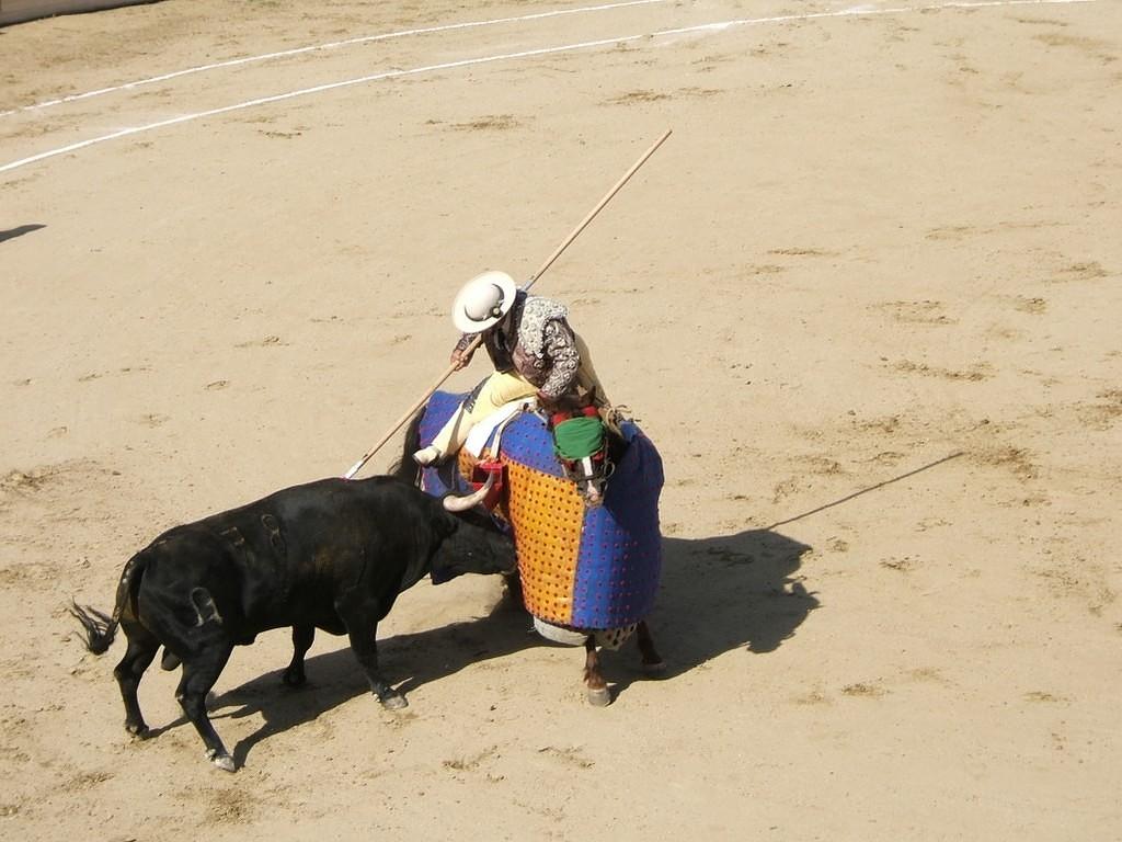 Bull stabs the picador, picador stabs the bull.