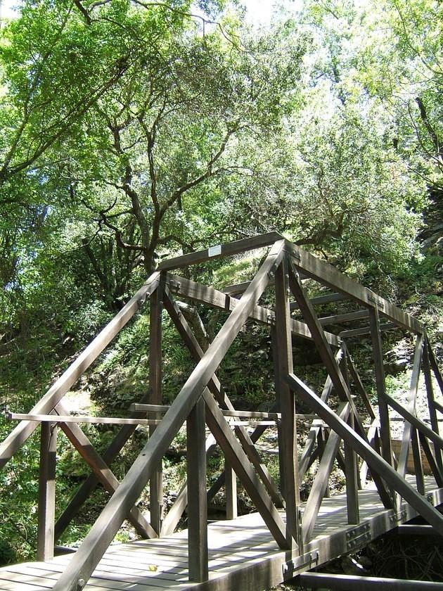 Wooden Poly Canyon bridge