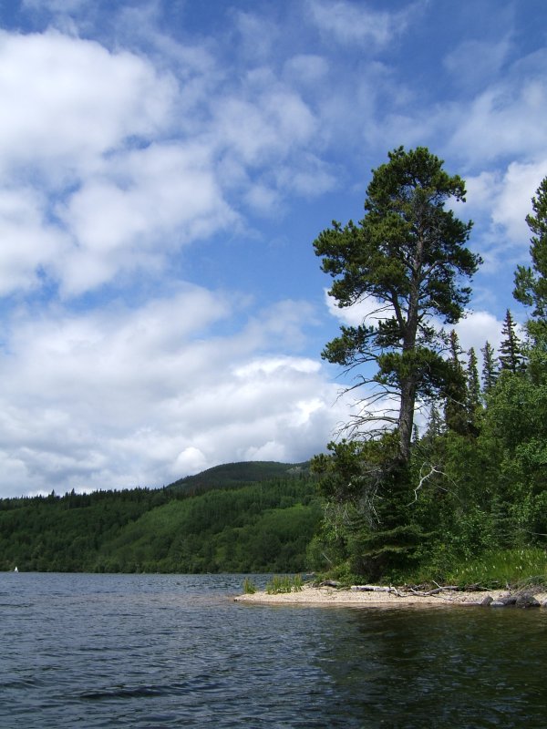 Pebble beach on the small island