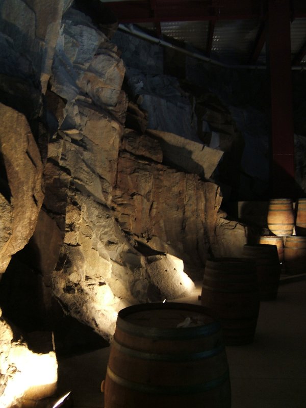 Inside the Monte Xanic wine store room