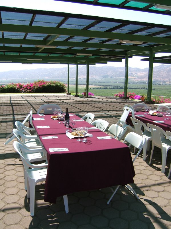 Lunch at LA Cetto Winery, overlooking the vines and olive trees