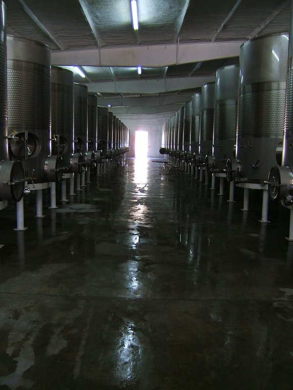 Fermentation vats