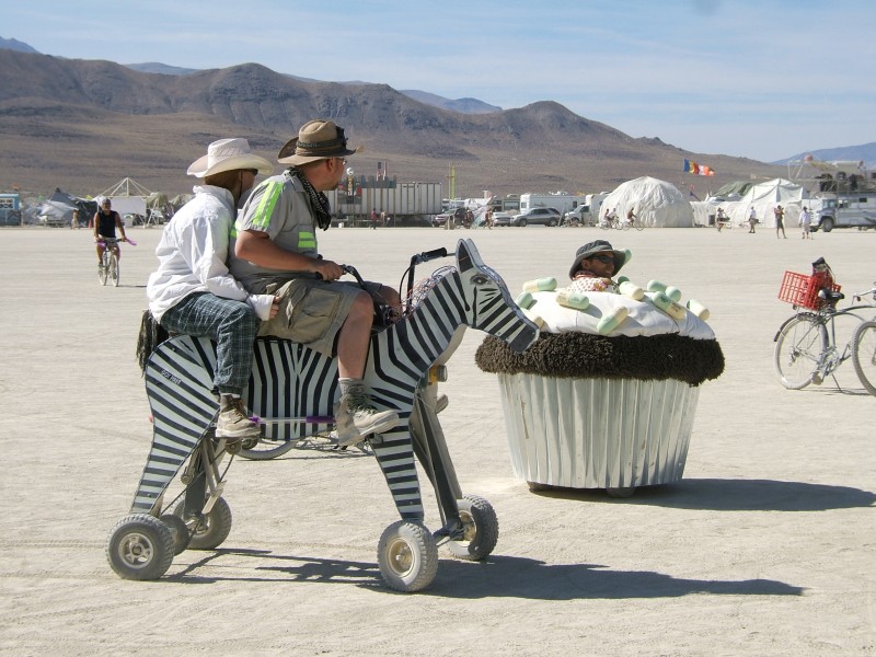 The zebra yells at the cupcake car