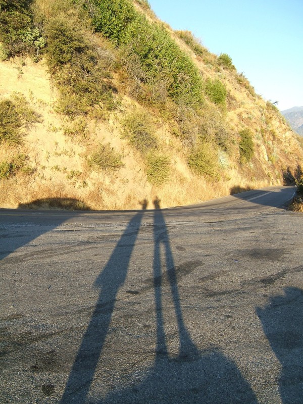 Long shadows