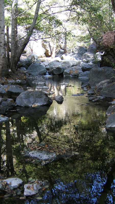 Looking upstream from a trail just off highway 1