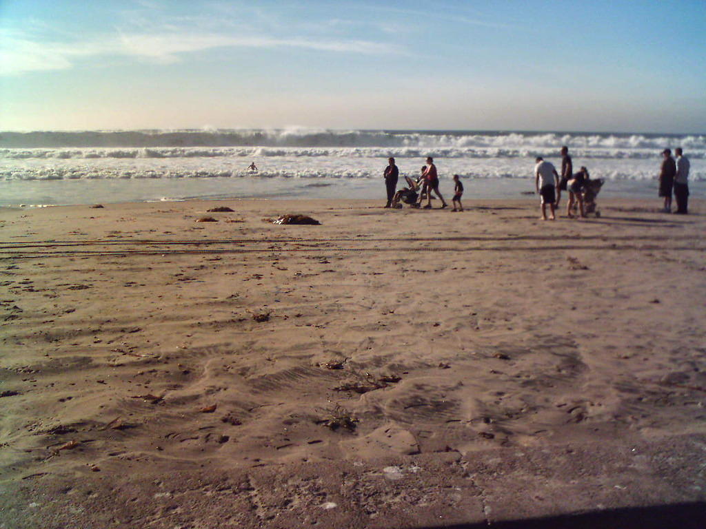 Drunk guy wading in the surf