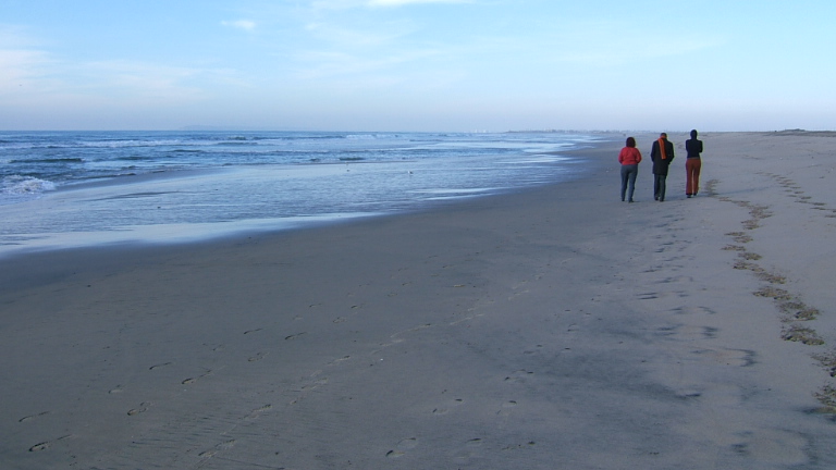 Anna, Jimmy, and Sarah on Border Field State Beach