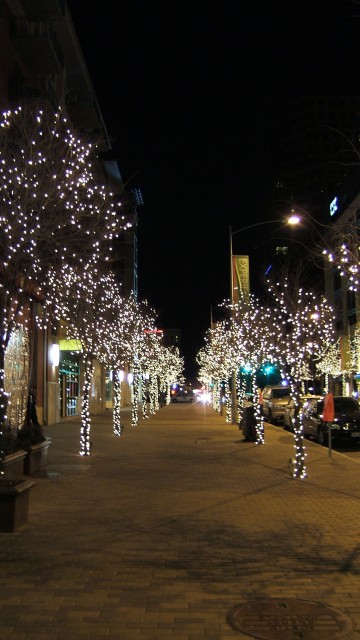 Lights on trees downtown