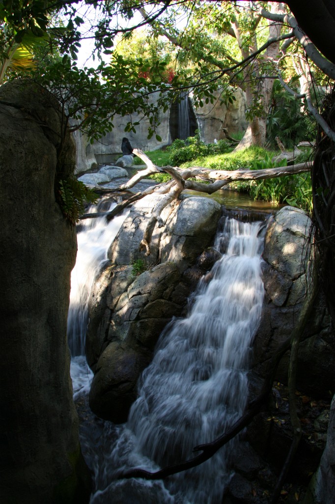 Waterfall at the gorilla exhibit