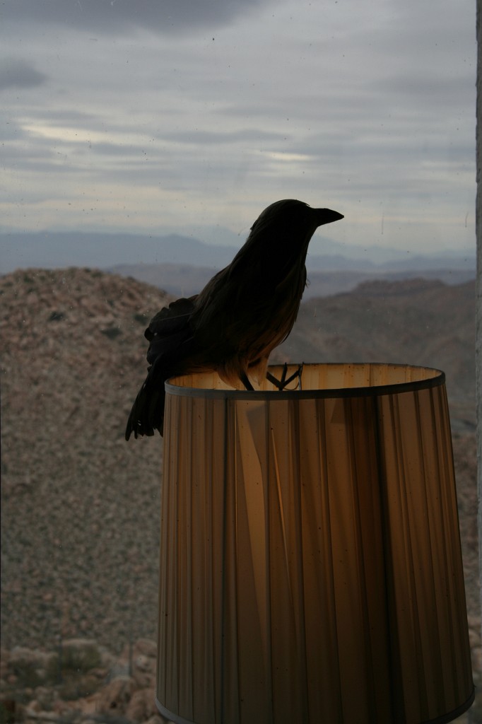 Stuffed crow on a lamp