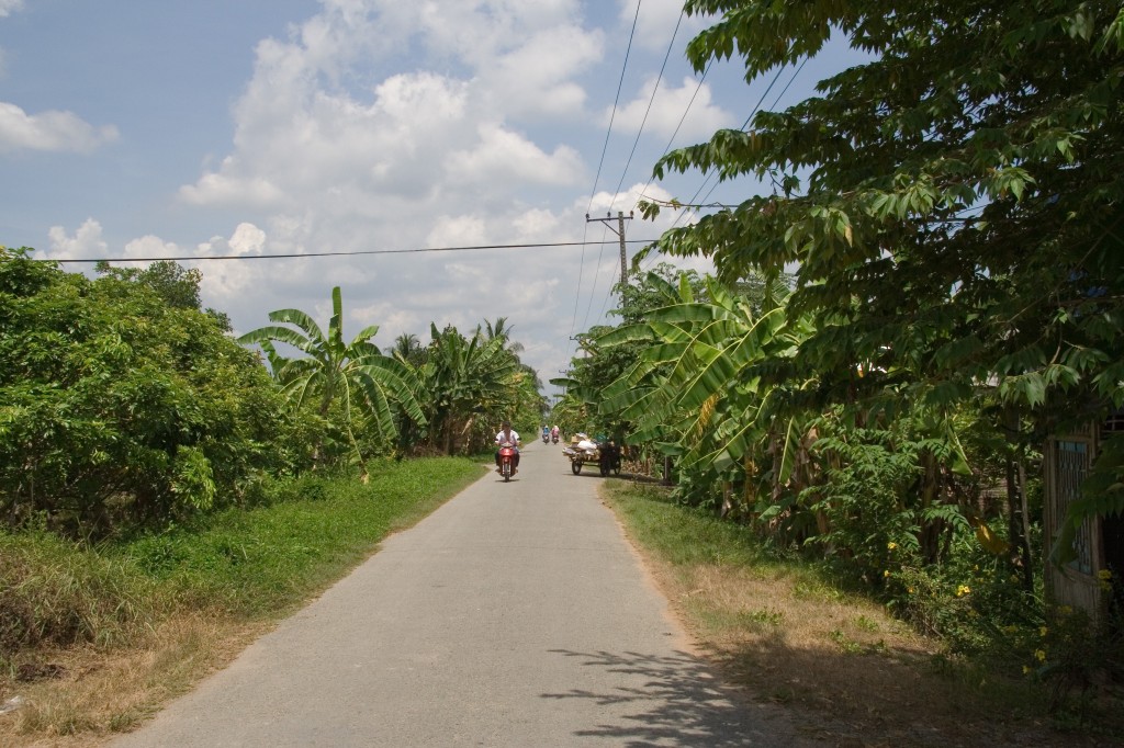 Mekong island road