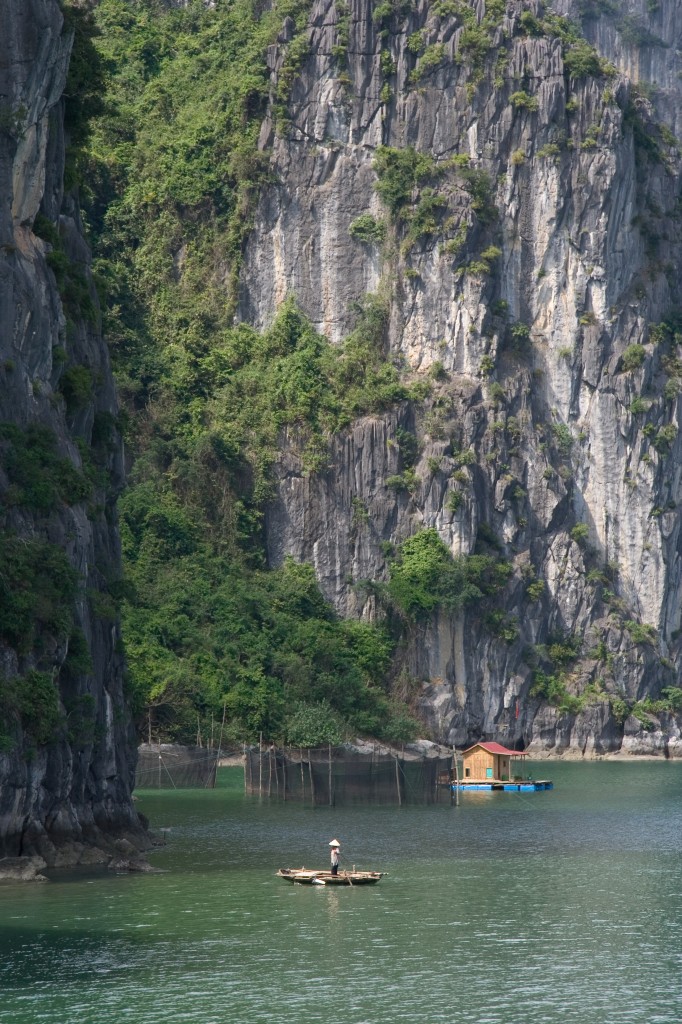 Cliffs and fish farms