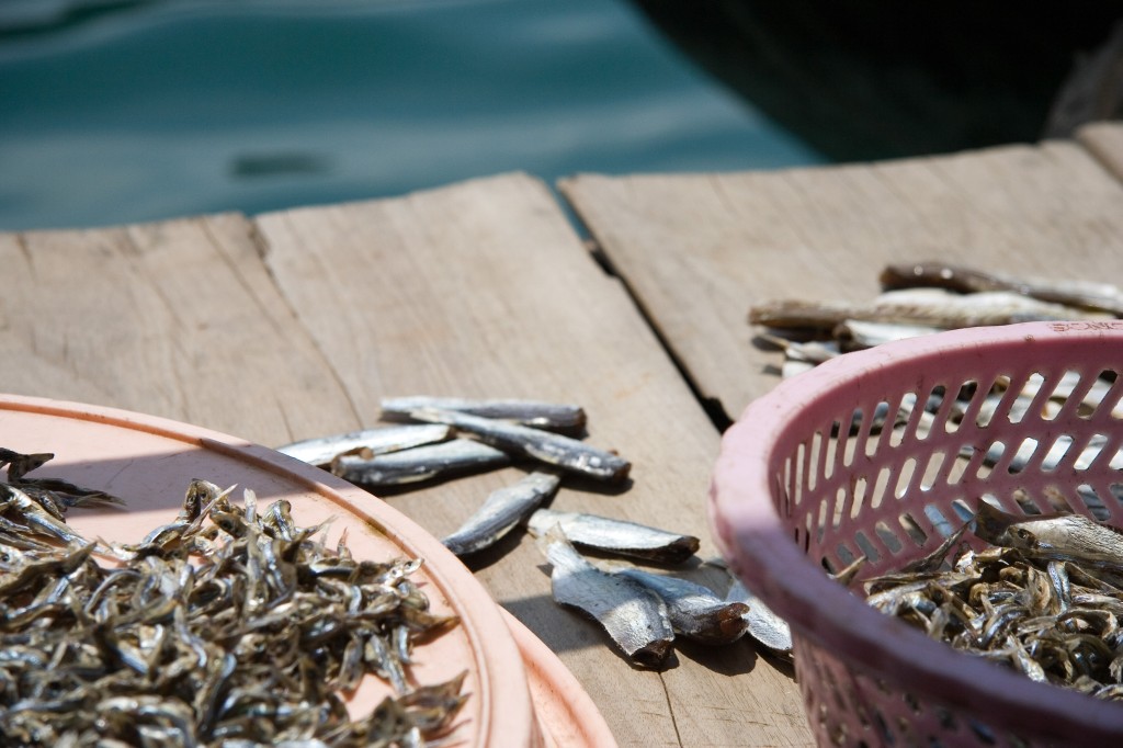 Drying fish