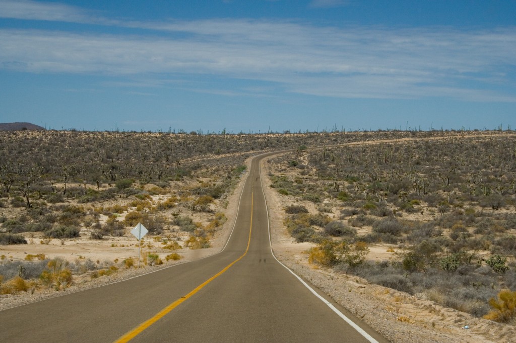 Road from Bahia de los Angeles to highway 1.