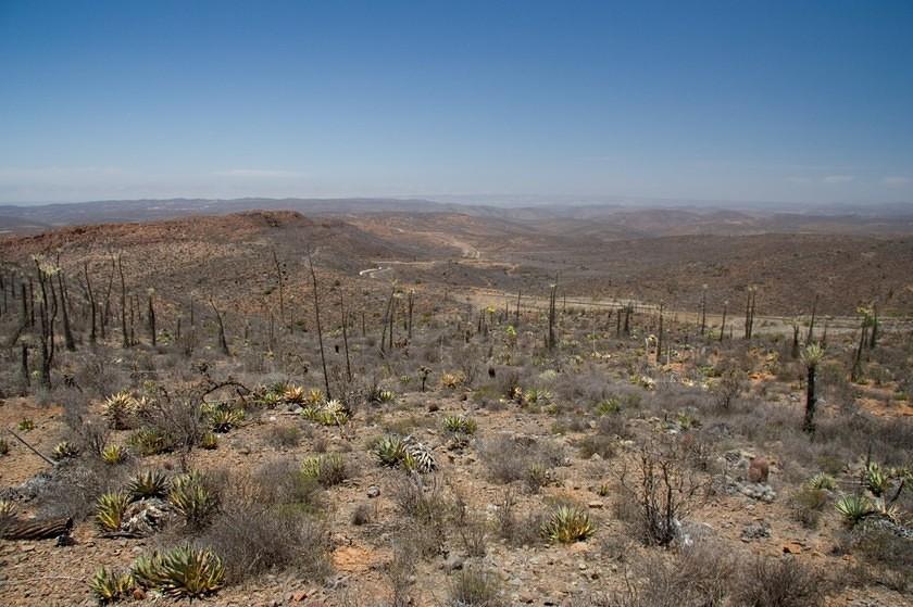 Winding desert highway