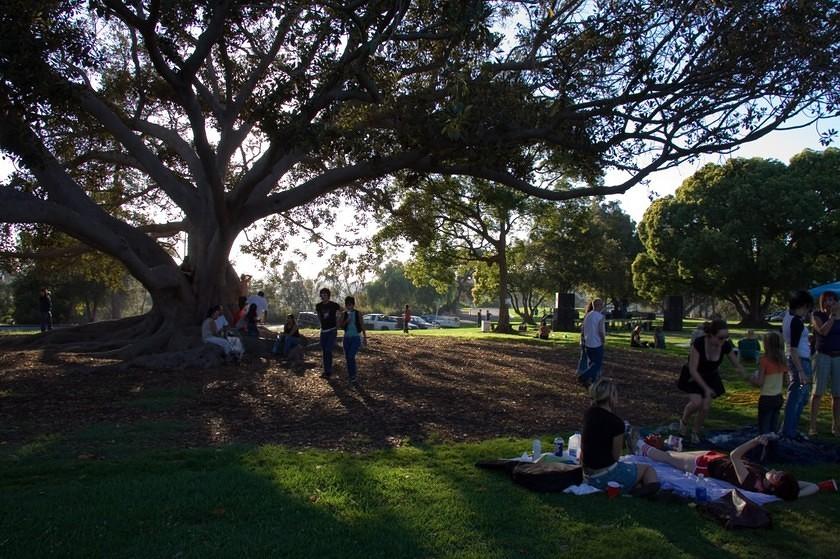 Sitting in the shade of the giant trees of Golden Hill Park