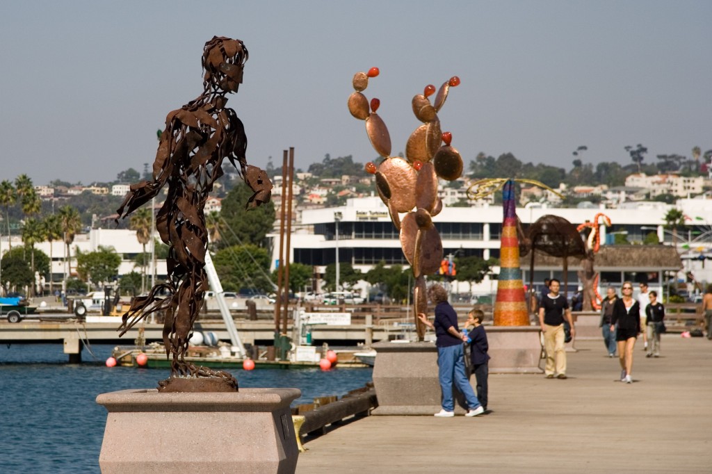 Urban trees on the San Diego harbor walk