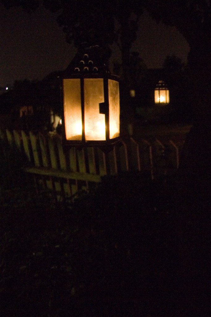 Candle lanterns hanging from a tree