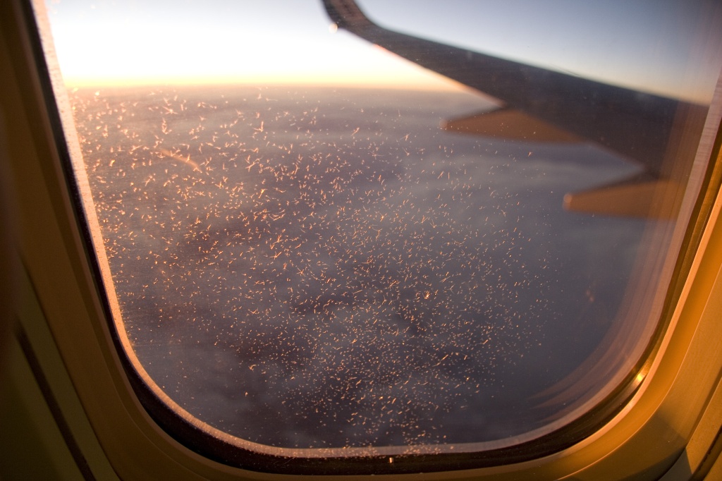 Ice crystals in the window