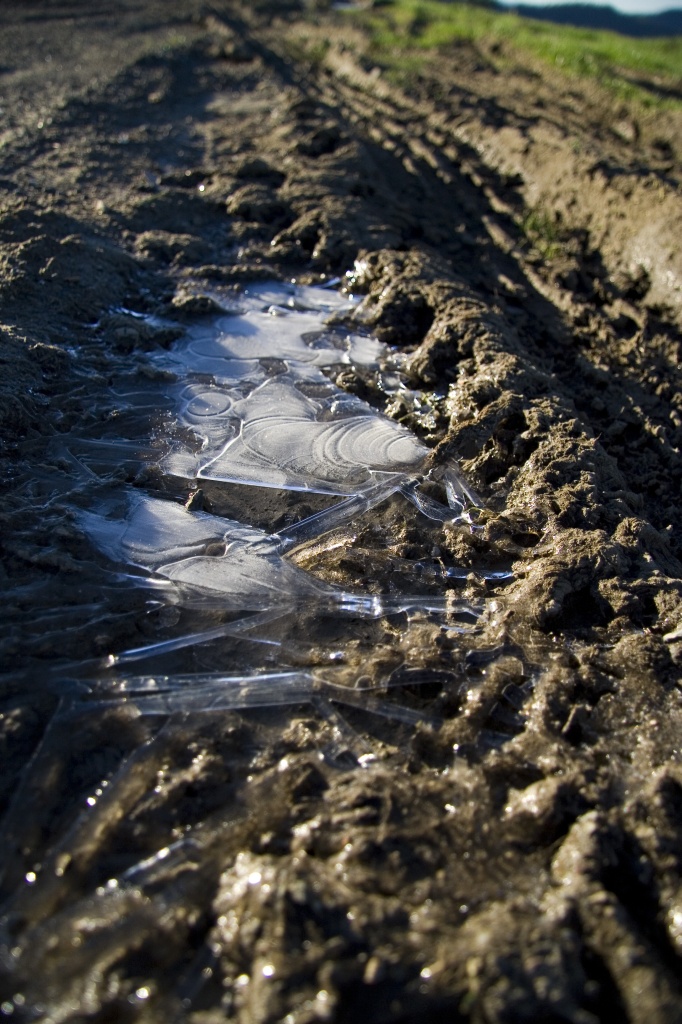 Frozen tracks