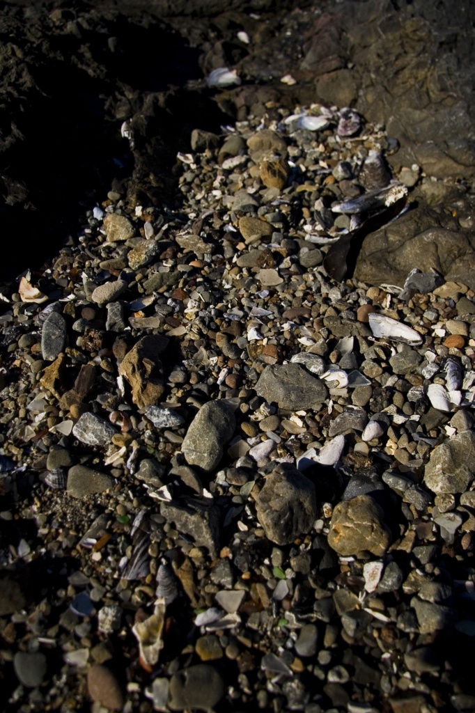 Glass beach at Fort Bragg