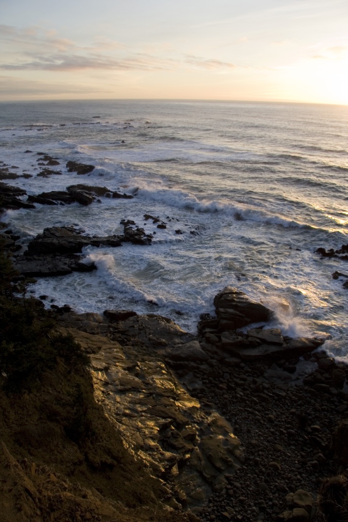 Cape Arago in Coos Bay, OR