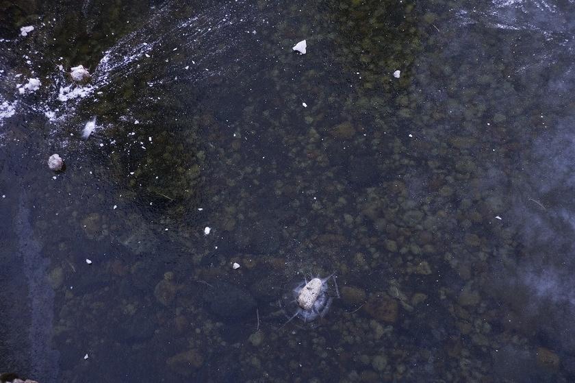 Rocks and snow on the crystal clear ice of the Merced river