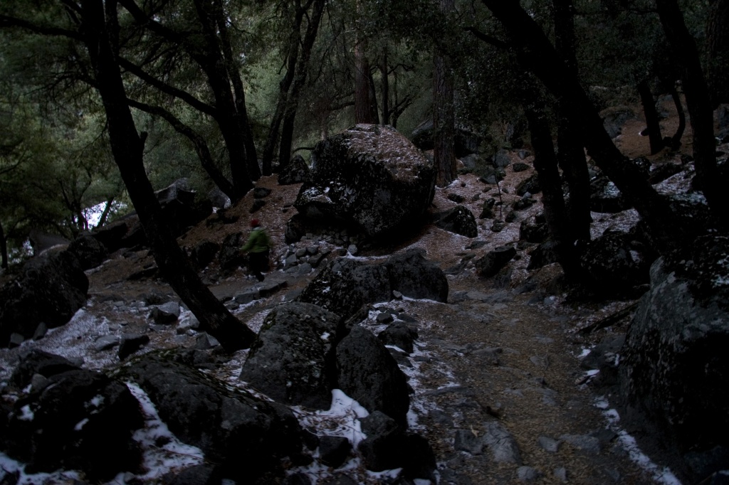 Black rocks, red leaves, and snow